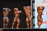 Grand Prix Fitness House Pro - 2014