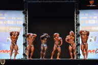 Grand Prix Fitness House Pro - 2014