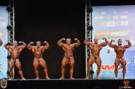 Grand Prix Fitness House Pro - 2014