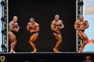 Grand Prix Fitness House Pro - 2014