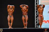 Grand Prix Fitness House Pro - 2014