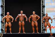 Grand Prix Fitness House Pro - 2014