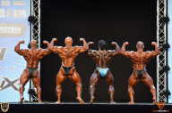 Grand Prix Fitness House Pro - 2014