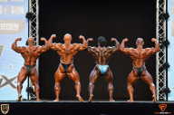 Grand Prix Fitness House Pro - 2014