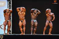 Grand Prix Fitness House Pro - 2014