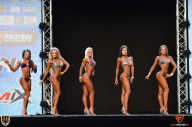 Grand Prix Fitness House Pro - 2014