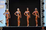 Grand Prix Fitness House Pro - 2014