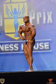 Grand Prix Fitness House Pro - 2014