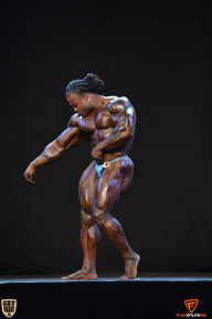 Grand Prix Fitness House Pro - 2014