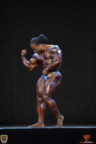 Grand Prix Fitness House Pro - 2014