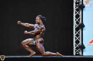 Grand Prix Fitness House Pro - 2014