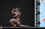 Grand Prix Fitness House Pro - 2014