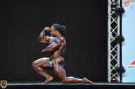 Grand Prix Fitness House Pro - 2014