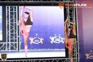 World Ladies Cup - 2014