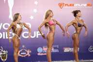 World Ladies Cup - 2014
