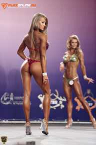 World Ladies Cup - 2014