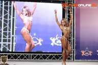 World Ladies Cup - 2014