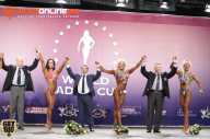 World Ladies Cup - 2014