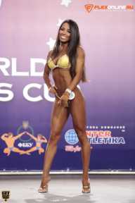 World Ladies Cup - 2014