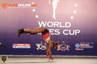 World Ladies Cup - 2014