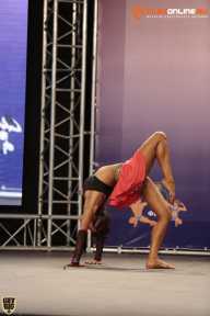 World Ladies Cup - 2014