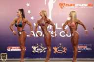 World Ladies Cup - 2014