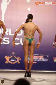 World Ladies Cup - 2014