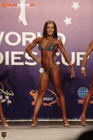 World Ladies Cup - 2014