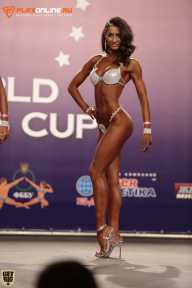 World Ladies Cup - 2014