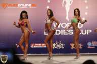 World Ladies Cup - 2014