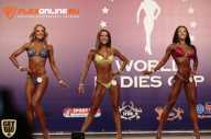 World Ladies Cup - 2014