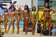 Men's Physique & Bikini Stars - 2015