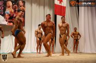 Первенство Приволжского Федерального округа по бодибилдингу - 2015