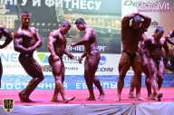 Чемпионат России по бодибилдингу - 2015