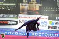Чемпионат России по бодибилдингу - 2015