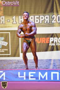 Чемпионат России по бодибилдингу - 2015