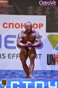 Чемпионат России по бодибилдингу - 2015
