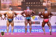 Чемпионат России по бодибилдингу - 2015