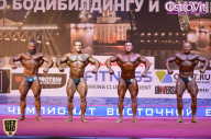 Чемпионат России по бодибилдингу - 2015