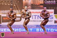 Чемпионат России по бодибилдингу - 2015