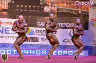Чемпионат России по бодибилдингу - 2015