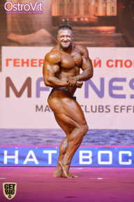 Чемпионат России по бодибилдингу - 2015