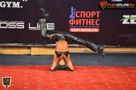 Кубок России по бодибилдингу - 2015