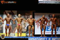 Чемпионат Санкт-Петербурга по бодибилдингу - 2015