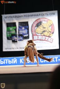Кубок Санкт-Петербурга по бодибилдингу - 2015