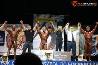Кубок Санкт-Петербурга по бодибилдингу - 2015
