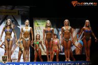 Кубок Санкт-Петербурга по бодибилдингу - 2015