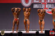 Любительская Олимпия в Москве - 2015