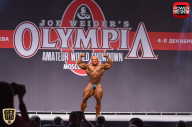Любительская Олимпия в Москве - 2015