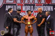 Любительская Олимпия в Москве - 2015